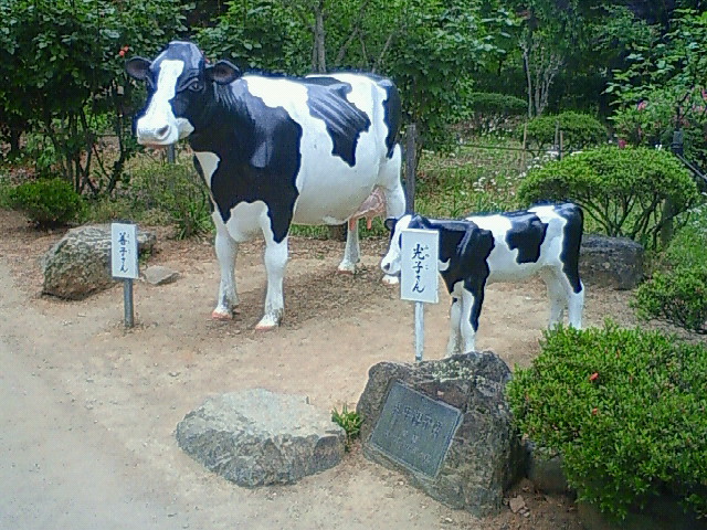 善光寺の牛